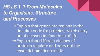 ➔Explain that genes are regions in the
dna that code for proteins, which carry
out the essential functions of life.
➔Explain that different classes of
proteins regulate and carry out the
essential functions of life.
HS LS 1-1 From Molecules
to Organisms: Structure
and Processes
 