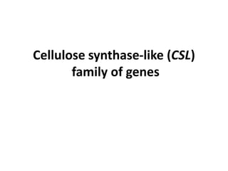Cellulose synthase-like (CSL)
       family of genes
 
