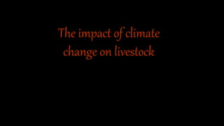 The impact of climate
change on livestock
 
