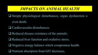 IMPACTS ON ANIMAL HEALTH
 Simple physiological disturbances, organ dysfunction o
even death.
 Cardiovascular disturbances.
 Reduced disease resistance of the animals.
 Reduced liver function and oxidative stress.
 Negative energy balance which compromise health.
 Nutrient absorption from GIT decreases.
 