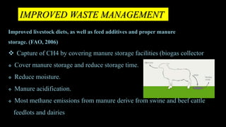 IMPROVED WASTE MANAGEMENT
Improved livestock diets, as well as feed additives and proper manure
storage. (FAO, 2006)
 Capture of CH4 by covering manure storage facilities (biogas collector
 Cover manure storage and reduce storage time.
 Reduce moisture.
 Manure acidification.
 Most methane emissions from manure derive from swine and beef cattle
feedlots and dairies
 