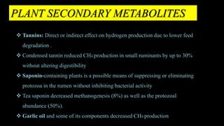PLANT SECONDARY METABOLITES
 Tannins: Direct or indirect effect on hydrogen production due to lower feed
degradation .
 Condensed tannin reduced CH4 production in small ruminants by up to 30%
without altering digestibility
 Saponin-containing plants is a possible means of suppressing or eliminating
protozoa in the rumen without inhibiting bacterial activity
 Tea saponin decreased methanogenesis (8%) as well as the protozoal
abundance (50%).
 Garlic oil and some of its components decreased CH4 production
 