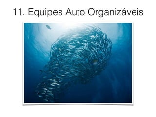 11. Equipes Auto Organizáveis
 