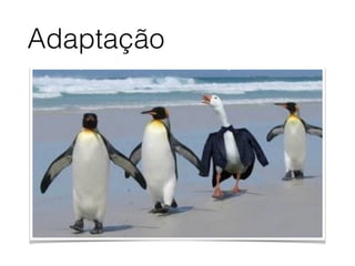 Adaptação
 