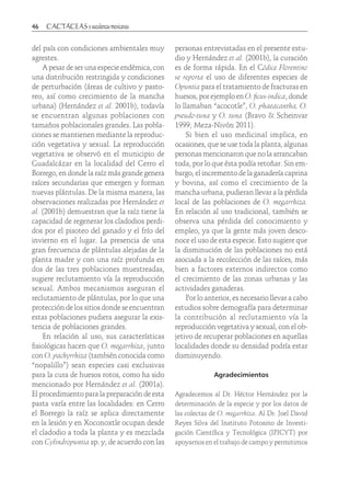 46	
del país con condiciones ambientales muy
agrestes.
A pesar de ser una especie endémica, con
una distribución restringida y condiciones
de perturbación (áreas de cultivo y pasto-
reo, así como crecimiento de la mancha
urbana) (Hernández et al. 2001b), todavía
se encuentran algunas poblaciones con
tamaños poblacionales grandes. Las pobla-
ciones se mantienen mediante la reproduc-
ción vegetativa y sexual. La reproducción
vegetativa se observó en el municipio de
Guadalcázar en la localidad del Cerro el
Borrego, en donde la raíz más grande genera
raíces secundarias que emergen y forman
nuevas plántulas. De la misma manera, las
observaciones realizadas por Hernández et
al. (2001b) demuestran que la raíz tiene la
capacidad de regenerar los cladodios perdi-
dos por el pisoteo del ganado y el frío del
invierno en el lugar. La presencia de una
gran frecuencia de plántulas alejadas de la
planta madre y con una raíz profunda en
dos de las tres poblaciones muestreadas,
sugiere reclutamiento vía la reproducción
sexual. Ambos mecanismos aseguran el
reclutamiento de plántulas, por lo que una
protección de los sitios donde se encuentran
estas poblaciones pudiera asegurar la exis-
tencia de poblaciones grandes.
En relación al uso, sus características
fisiológicas hacen que O. megarrhiza, junto
con O. pachyrrhiza (también conocida como
“nopalillo”) sean especies casi exclusivas
para la cura de huesos rotos, como ha sido
mencionado por Hernández et al. (2001a).
El procedimiento para la preparación de esta
pasta varía entre las localidades: en Cerro
el Borrego la raíz se aplica directamente
en la lesión y en Xoconoxtle ocupan desde
el cladodio a toda la planta y es mezclada
con Cylindropuntia sp. y, de acuerdo con las
personas entrevistadas en el presente estu-
dio y Hernández et al. (2001b), la curación
es de forma rápida. En el Códice Florentino
se reporta el uso de diferentes especies de
Opuntia para el tratamiento de fracturas en
huesos, por ejemplo en O. ficus-indica, donde
lo llamaban “acocotle”, O. phaeacantha, O.
pseudo-tuna y O. tuna (Bravo & Scheinvar
1999; Meza-Nivón 2011).
Si bien el uso medicinal implica, en
ocasiones, que se use toda la planta, algunas
personas mencionaron que no la arrancaban
toda, por lo que ésta podía retoñar. Sin em-
bargo, el incremento de la ganadería caprina
y bovina, así como el crecimiento de la
mancha urbana, pudieran llevar a la pérdida
local de las poblaciones de O. megarrhiza.
En relación al uso tradicional, también se
observa una pérdida del conocimiento y
empleo, ya que la gente más joven desco-
noce el uso de esta especie. Esto sugiere que
la disminución de las poblaciones no está
asociada a la recolección de las raíces, más
bien a factores externos indirectos como
el crecimiento de las zonas urbanas y las
actividades ganaderas.
Por lo anterior, es necesario llevar a cabo
estudios sobre demografía para determinar
la contribución al reclutamiento vía la
reproducción vegetativa y sexual, con el ob-
jetivo de recuperar poblaciones en aquellas
localidades donde su densidad podría estar
disminuyendo.
Agradecimientos
Agradecemos al Dr. Héctor Hernández por la
determinación de la especie y por los datos de
las colectas de O. megarrhiza. Al Dr. Joel David
Reyes Silva del Instituto Potosino de Investi-
gación Científica y Tecnológica (IPICYT) por
apoyarnos en el trabajo de campo y permitirnos
 