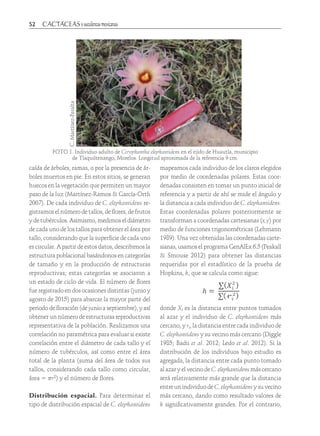 52	
caída de árboles, ramas, o por la presencia de ár-
boles muertos en pie. En estos sitios, se generan
huecos en la vegetación que permiten un mayor
paso de la luz (Martínez-Ramos & García-Orth
2007). De cada individuo de C. elephantidens re-
gistramos el número de tallos, de flores, de frutos
y de tubérculos. Asimismo, medimos el diámetro
de cada uno de los tallos para obtener el área por
tallo, considerando que la superficie de cada uno
es circular. A partir de estos datos, describimos la
estructura poblacional basándonos en categorías
de tamaño y en la producción de estructuras
reproductivas; estas categorías se asociaron a
un estado de ciclo de vida. El número de flores
fue registrado en dos ocasiones distintas (junio y
agosto de 2015) para abarcar la mayor parte del
periodo de floración (de junio a septiembre), y así
obtener un número de estructuras reproductivas
representativa de la población. Realizamos una
correlación no paramétrica para evaluar si existe
correlación entre el diámetro de cada tallo y el
número de tubérculos, así como entre el área
total de la planta (suma del área de todos sus
tallos, considerando cada tallo como circular,
área = πr2) y el número de flores.
Distribución espacial. Para determinar el
tipo de distribución espacial de C. elephantidens
mapeamos cada individuo de los claros elegidos
por medio de coordenadas polares. Estas coor-
denadas consisten en tomar un punto inicial de
referencia y a partir de ahí se mide el ángulo y
la distancia a cada individuo de C. elephantidens.
Estas coordenadas polares posteriormente se
transforman a coordenadas cartesianas (x,y) por
medio de funciones trigonométricas (Lehmann
1989). Una vez obtenidas las coordenadas carte-
sianas, usamos el programa GenAlEx 6.5 (Peakall
& Smouse 2012) para obtener las distancias
requeridas por el estadístico de la prueba de
Hopkins, h, que se calcula como sigue:
donde Xi es la distancia entre puntos tomados
al azar y el individuo de C. elephantidens más
cercano, y ri, la distancia entre cada individuo de
C. elephantidens y su vecino más cercano (Diggle
1985; Badii et al. 2012; Ledo et al. 2012). Si la
distribución de los individuos bajo estudio es
agregada, la distancia entre cada punto tomado
al azar y el vecino de C. elephantidens más cercano
será relativamente más grande que la distancia
entre un individuo de C. elephantidens y su vecino
más cercano, dando como resultado valores de
h significativamente grandes. Por el contrario,
C.Martínez-Peralta
FOTO 1. Individuo adulto de Coryphantha elephantidens en el ejido de Huautla, municipio
de Tlaquiltenango, Morelos. Longitud aproximada de la referencia 9 cm.
 