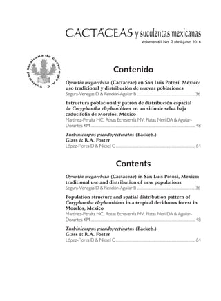 Vol. 61 No. 2 2016	35
Volumen 61 No. 2 abril-junio 2016
Contenido
Opuntia megarrhiza (Cactaceae) en San Luis Potosí, México:
uso tradicional y distribución de nuevas poblaciones
Segura-Venegas D & Rendón-Aguilar B..................................................36
Estructura poblacional y patrón de distribución espacial
de Coryphantha elephantidens en un sitio de selva baja
caducifolia de Morelos, México
Martínez-Peralta MC, Rosas Echeverría MV, Platas Neri DA & Aguilar-
Dorantes KM.........................................................................................48
Turbinicarpus pseudopectinatus (Backeb.)
Glass & R.A. Foster
López-Flores D & Niesel C....................................................................64
Contents
Opuntia megarrhiza (Cactaceae) in San Luis Potosí, Mexico:
traditional use and distribution of new populations
Segura-Venegas D & Rendón-Aguilar B..................................................36
Population structure and spatial distribution pattern of
Coryphantha elephantidens in a tropical deciduous forest in
Morelos, Mexico
Martínez-Peralta MC, Rosas Echeverría MV, Platas Neri DA & Aguilar-
Dorantes KM.........................................................................................48
Turbinicarpus pseudopectinatus (Backeb.)
Glass & R.A. Foster
López-Flores D & Niesel C....................................................................64
 