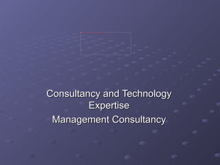 Consultancy and Technology Expertise Management Consultancy 