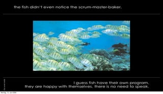 Montag, 15. Juni 2009
 