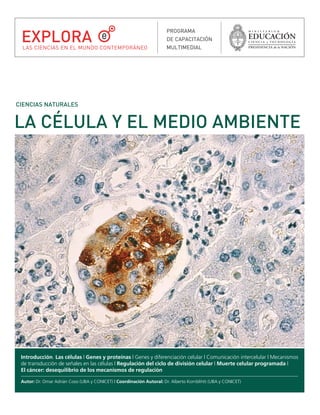 celula y el medio ambiente.qxd

22/03/2007

EXPLORA

10:35 a.m.

PÆgina 1

LAS CIENCIAS EN EL MUNDO CONTEMPORÁNEO

PROGRAMA
DE CAPACITACIÓN
MULTIMEDIAL

CIENCIAS NATURALES

LA CÉLULA Y EL MEDIO AMBIENTE

Introducción. Las células | Genes y proteínas | Genes y diferenciación celular | Comunicación intercelular | Mecanismos
de transducción de señales en las células | Regulación del ciclo de división celular | Muerte celular programada |
El cáncer: desequilibrio de los mecanismos de regulación
Autor: Dr. Omar Adrián Coso (UBA y CONICET) | Coordinación Autoral: Dr. Alberto Kornblihtt (UBA y CONICET)

 
