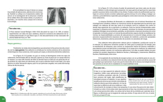 202 203
En la actualidad, los rayos X tienen un campo
muy amplio de aplicaciones, además de la menciona-
da. También se utilizan en el tratamiento médico del
cáncer, en la investigación de la estructura cristalina
de los sólidos (física del estado sólido), en pruebas in-
dustriales, y en muchos otros campos de la ciencia y
la tecnología.
Para saber más…
El físico alemán Conrad Röntgen (1845-1923) descubrió los rayos X. En 1895, al realizar
experimentos con tubos de rayos catódicos, observó la existencia de radiaciones de na-
turaleza desconocida a lo que llamó rayos X. Este descubrimiento lo hizo merecedor del
premio Nobel de Física, en 1901.
Para saber más…
El láser es un tipo especial de radiación electro-
magnética visible cuyas aplicaciones tecnológi-
cas y científicas aumentan cada día. El término
láser proviene del inglés: light amplification by
stimulated emission of radiation, lo que significa:
amplificación de la luz por emisión estimulada de
radiación (átomo que emite radiación). Un haz de
rayos láser se diferencia de la luz visible por: i) alta
Figura 25.12. (A) Radicaciones alfa, beta y gamma, separadas por la acción del campo eléctrico que se forma
entre las placas de un condensador conectado a una batería. (B) Poder de penetración de cada radiación.
Rayos gamma γ
Finalmente, las ondas electromagnéticas que presentan la frecuencia más alta conoci-
da, son los rayos gamma. Esta radiación es emitida por los núcleos atómicos de los elementos
al desintegrarse. Estas sustancias, cómo quizás ya lo sepas, se denomina elementos radiactivos.
En la figura 25.12.A puedes ver que un núcleo al desintegrarse emite tres tipos de
radiaciones, denominadas alfa (α), beta (β) y gamma (γ). Éstas al pasar por un campo eléctrico
se separan. Los rayos alfa (núcleos de helio) se desvían hacia un lado por ser partículas de car-
ga positiva; los rayos beta son electrones, por lo que se desvían hacia el otro lado; y los rayos
gamma no sufren desviación alguna, pues no son partículas cargadas, sino ondas electromag-
néticas de alta frecuencia.
En la figura 25.12.B se ilustra el poder de penetración que tiene cada uno de estos
rayos, y debido a la alta energía que transportan, los rayos gamma al igual que los rayos beta
pueden ocasionar daños irreversibles en las células. A todas y todos los profesionales que tra-
bajan en centros donde se emiten radiaciones gamma (incluso X) se les obliga a trabajar con
sistemas y procedimientos especiales para protegerse contra dosis excesivas de exposición a
estas radiaciones.
La empresa Petróleos de Venezuela, en colaboración con el Instituto Venezolano de
Investigaciones Científicas, elaboró un manual de normas de seguridad para las personas que
trabajen con radiación de este tipo, tanto en el Instituto como en cualquier otro centro en
donde haya exposición de su personal a la radiación. Entre las normas fundamentales están:
maximizar la distancia entre la fuente y el operador, minimizar los tiempos de permanencia,
establecer blindajes (encerramientos, pantallas, recubrimientos o barreras) de protección entre
el operador y la fuente, poseer un manual de procedimientos seguros donde se establezcan las
normas, las responsabilidades y acciones de cada persona en su área de trabajo, proveer a las
personas ocupacionalmente expuestas de los equipos de medición y protección apropiados
(detectores, dosímetros, alarmas personales) de acuerdo a la naturaleza del riesgo.
Esta radiación tiene aplicaciones valiosas para la ciudadanía y producción social. En
la industria, las radiaciones ionizantes pueden ser útiles para la producción de energía, para
la esterilización de alimentos, para conocer la composición interna de diversos materiales y
para detectar errores de fabricación y ensamblaje. En el campo de la medicina, las radiaciones
ionizantes también cuentan con numerosas aplicaciones. Con ellas se puede realizar una gran
variedad de estudios diagnósticos (Medicina Nuclear y Radiología) y tratamientos (Medicina
Nuclear y Radioterapia), entre otras.
En la explosión de una bomba de energía nuclear o en un accidente grave en una cen-
tral nuclear, se produce una colosal emisión de estas radiaciones, la cual es una de las causas del
gran peligro que representan. Es por esto que los desarrollos de la ciencia y tecnología tenemos
que ponerlos al servicio de la ciudadanía con responsabilidad social.
concentración de energía en áreas muy pequeñas; ii) una única frecuencia de valor deter-
minado (un color), iii) las ondas están rigurosamente en fase, hay coincidencia entre crestas,
y en consecuencia entre valles. Los colores de los haces de luz emitidos por cada láser de la
figura, se diferencian por la longitud de onda que emiten. El rojo está en 633 nm, el verde
532 nm y el azul 473 nm.
Figura 25.13. El haz de color rojo es emitido por
un láser de helio-neón, el de color verde y de azul
es producido por gas argón ionizado. También se
puede producir luz roja con un láser de rubí.
A B
 