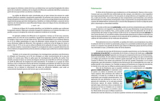 208 209
para separar los distintos colores de la luz y así determinar con exactitud longitudes de onda a
partir de la medición cuidadosa de los ángulos de difracción, pudiendo identificar sustancias a
partir de la luz que emiten sus átomos o moléculas.
Las rejillas de difracción están constituidas por un gran número de ranuras las cuales
resultan idénticas, paralelas e igualmente espaciadas. Al aumentar este número de ranuras, las
franjas del patrón se hacen más nítidas e intensas, lo cual es una ventaja desde el punto de vista
experimental porque permiten distinguirlas y medirlas con relativa facilidad. La posición de los
máximos de intensidad de la onda difractada (franjas claras de la figura 26.2a), está dada por la
siguiente expresión:
Si observas la figura 26.2.b podrás identificar con facilidad las variables que conforman
la expresión anterior. Fíjate que conocido el ángulo θ, la distancia α y el número de orden m, es
posible conocer la longitud de onda de la radiación incidente en la rendija.
Un ejemplo cotidiano de difracción es el siguiente: si tomas un CD de esos comunes,
podrás notar una serie de surcos paralelos e igualmente espaciados sobre la superficie, la cual
es metálica. Estos surcos son del orden de los 100 nm de profundidad, la luz incidente (blanca)
en el CD se refleja separándose en rayos de diferentes colores porque los surcos funcionan
como diminutas rejillas de difracción. Otro ejemplo lo conforma la ley de Bragg (en honor a
padre e hijo en 1913), en la cual se utiliza la reflexión de la radiación de rayos X que inciden en
un material cristalino. Conociendo el ángulo θ y la longitud de onda λ se puede determinar de
forma indirecta el espaciamiento entre los átomos contiguos que conforman la red del material
o sustancia.
También, en el campo de la sismología y las investigaciones petroleras este fenómeno
es utilizado con frecuencia, con el fin de conseguir un mejor reconocimiento de la zona de
estudio. En nuestro país, Pdvsa lo aplica para las investigaciones de perfiles de suelos. Este
estudio consiste en hacer un número de disparos de haces de onda EM con el fin de conseguir
un perfil de difracción de longitud de onda equivalente. El resultado es un grupo de trazas
sísmicas y de la constitución interna del terreno estudiado, procedentes de todos los tiros que
se analizan, los cuales se procesan y luego se reordenan en conjuntos de puntos reflectores
comunes. Así se obtiene la información de todas las reflexiones halladas y por ende un
conocimiento bastante preciso del terreno que se está estudiando.
Figura 26.3. Imagen de la técnica de difracción reflexiva para el estudio sísmico y petrolero.
Polarización
El último de los fenómenos que estudiaremos es el de polarización. Veamos cómo ocurre.
Conoces que una onda EM está conformada por dos campos, uno eléctrico y otro magnético
que viajan perpendiculares entre si. Por otra parte, el campo eléctrico y el magnético son vecto-
res, y cada uno de ellos está conformado por dos componentes (una horizontal y una vertical)
denominadas las componentes rectangulares. Estas componentes son perpendiculares entre sí
y gozan de independencia, de forma que si una de ellas desaparece el vector no deja de existir,
pero sí disminuye su intensidad (módulo).
Una onda se dice que está polarizada cuando una de las componentes que conforman
el campo eléctrico o el magnético es absorbida, y la otra pasa libremente, lo que disminuye la
intensidad de la luz incidente. Pero, ¿cómo puede suceder esto? Esta absorción de una de las
componentes del campo se logra al hacer incidir la luz en un material denominado dicroico. El
más común de éstos, es una lámina sintética denominada polaroid que se fabrica estirando una
hoja de alcohol polivinílico (un producto de la industria de los polímeros), alineando así largas
cadenas de hidrocarburos de las moléculas del polímero.
Normalmente la luz de un bombillo, un pedazo de metal a una temperatura muy alta o
la radiación del Sol no emiten luz polarizada, porque en su actividad oscilatoria de gran rapidez
actúan un conjunto muy grande de átomos que vibran en diferentes planos de forma simultá-
nea orientados al azar, y emitiendo ondas de forma aleatoria.
Un ejemplo de este tipo de fenómenos lo puedes experimentar con los llamados lentes
que polarizan la luz del Sol. Los polaroides de los lentes se colocan de modo que su dirección
de polarización sea vertical; logrando con esto que la componente de la luz en forma horizon-
tal no sea transmitida. De esta manera, la intensidad de la luz que llega a los ojos es disminuida
y el reflejo que producen los brillos molestos queda atenuado. Así que de ahora en adelante
cuando te ofrezcan unos lentes que polarizan la luz del Sol, puedes comprobar si no te están
engañando, para ello póntelos y evidencia esta disminución de la intensidad de la luz solar, así
podrás decidir si los compras o no. También se aprecia el fenómeno en el agua de una piscina,
en donde la luz solar que se refleja se polariza parcialmente en su plano horizontal.
Otro de los fenómenos que se pueden combinar con la polarización es la birrefrin-
gencia o doble refracción. En materiales como
el cuarzo y la calcita se presenta una caracte-
rística especial, ellos presentan dos índices de
refracción. Si incide luz, se divide en dos rayos
polarizados que emergen perpendiculares. Una
aplicación de este fenómeno se hace en la in-
geniería de materiales, en la cual para estudiar
estructuras opacas de piezas metálicas, por
ejemplo vigas, columnas y otras, se reproduce la
estructura (se hace un modelo) con un material
birrefringente, se ilumina y se somete a prue-
ba. Observando la luz que se refleja se aprecia la
distribución total de esfuerzos y se calcula si podrían resistirse en la estructura original.
 