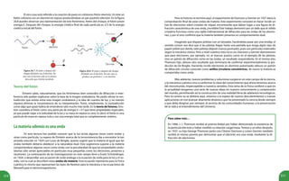214 215
Figura 26.7. El antes y después del
choque del fotón con el electrón. En
este caso el electrón sale en la misma
dirección que el fotón incidente.
Figura 26.8. El antes y después del choque
del fotón con el electrón. En este caso se
produce un positrón e+
y un electrón.
Teoría del fotón
Einstein sabía, naturalmente, que los fenómenos bien conocidos de difracción e inter-
ferencia sólo podían explicarse sobre la base de la imagen ondulatoria. No podía refutar la con-
tradicción que existía entre esta imagen ondulatoria y la idea de cuantos de luz; y no intentó
siquiera eliminar la inconsistencia de su interpretación. Tomó, simplemente, la contradicción
como algo que quizá habría de entenderse sólo mucho más tarde. En la teoría de fotones, Eins-
tein considera al fotón como una partícula de energía E = h f que tiene propiedades especiales,
ya que puede viajar a la velocidad de la luz y su masa en reposo es cero. Es decir, el fotón es una
partícula de masa en reposo nula y con una energía total que es completamente cinética.
Lamateriaademásesunaonda
En esta lectura has podido conocer que la luz actúa algunas veces como ondas y
otras como partícula. La espera de Einstein acerca de la inconsistencia iba a encontrar la tan
ansiada solución en 1924 con Louis de Broglie, quiene sugirió que la materia al igual que las
ondas también debería obedecer a la naturaleza dual. Esta sugerencia supone a la materia
comportándose algunas veces como onda; con la peculiaridad de que las propiedades ondu-
latorias sólo serían apreciables en partículas muy pequeñas como los electrones, protones y
neutrones. La continuación de las investigaciones en este campo llevó a Erwin Schröndinger,
en 1924, a desarrollar una ecuación de onda análoga a la ecuación de onda para la luz y el so-
nido, con la cual se describen estas ondas de materia. Esta ecuación representa para la Física
cuántica lo mismo que representan las leyes de Newton para la mecánica o las ecuaciones de
Maxwell para el electromagnetismo.
Pero la historia no termina aquí, el experimento de Davisson y Germer en 1927 daría la
comprobación final de estas ondas de materia. Este experimento consistió en hacer incidir un
haz de electrones sobre cristales de níquel, encontrando que daban lugar a una figura de di-
fracción característica de una onda, ¡increíble! Este trabajo demostró por un lado que el sólido
cristalino funciona como una rejilla tridimensional de difracción para las ondas de los electro-
nes, y por el otro confirmó que la materia también presenta un comportamiento dual.
Imagínate que disparas pelotas con un lanzador, haciéndolas pasar por una rendija, el
sentido común nos dice que si las pelotas llegan hasta una pantalla que tenga algún tipo de
papel carbón por detrás, tales pelotas dejarán marcas puntuales, pues son partículas materiales
según la mecánica clásica. Pero a nivel cuántico esto no es así, Davisson y Germer demostraron
que para electrones, por ejemplo, no se marcan puntos como en el ejemplo de las pelotas,
sino un patrón de difracción como en las ondas, un resultado sorprendente. En el mismo año,
Thomson hijo, obtuvo otro resultado que terminaría de confirmar experimentalmente la pre-
dicción de De Broglie. Haciendo incidir electrones en aluminio pulverizado obtuvo un patrón
de difracción circular conocido como anillos circulares concéntricos, de nuevo la materia se
comportaba como onda.
Más adelante, nuevos problemas y soluciones surgieron en este campo de la ciencia,
y la mecánica cuántica vino a conformar la clave del conocimiento que ahora tenemos acerca
del micromundo, imperceptible a nuestros sentidos. Esta rama de la Física conllevó a que en
la actualidad tengamos una serie de nuevas ideas en nuestro conocimiento y comprensión
del mundo, permitiendo así la construcción de una realidad llena de adelantos tecnológicos.
Pero la carrera no se detiene aquí, estamos a la espera de nuevos descubrimientos y nuevas
aplicaciones en ese avanzar altamente dinámico que ha presentado la ciencia desde siempre
y que debe dirigirse, por siempre, al servicio de las comunidades humanas, a la preservación
de la vida y al entendimiento del Universo.
Para saber más…
En 1906, J. J. Thomson recibió el premio Nobel por haber demostrado la existencia de
la partícula electrón y haber medido su relación carga/masa. Treinta y un años después,
en 1937, su hijo George Thomson junto con Clinton Davisson y Lester Germer también
recibió el mismo premio por demostrar que el electrón era una onda, mediante la di-
fracción de electrones.
El otro caso está referido a la creación de pares en colisiones fotón-electrón. En éste un
fotón colisiona con un electrón en reposo produciéndose un par positrón-electrón. En la figura
26.8 puedes observar una representación de este fenómeno. Antes del choque, el fotón posee
energía E. Después del choque, la energía cinética final de cada partícula es 2/3 de la energía
cinética inicial del fotón.
 