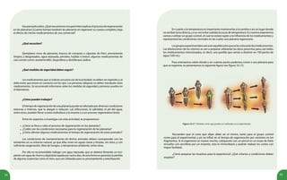 34 35
¿Qué necesitan?
Ejemplares vivos de planarias; frascos de compota o cápsulas de Petri, previamente
limpios y desgrasados, agua reposada, pinceles, hojillas o bisturí, algunos medicamentos de
uso común como: acetaminofén, ibuprofeno y diclofenaco sódico.
¿Qué medidas de seguridad deben seguir?
Los medicamentos que se indican son para uso de la actividad, no deben ser ingeridos y se
debe evitar que entren en contacto con los ojos. Las personas alérgicas no deben manipular estos
medicamentos. Se recomienda informarse sobre las medidas de seguridad y primeros auxilios en
el laboratorio.
¿Cómo pueden trabajar?
Eltiempoderegeneracióndeunaplanariapuedeserafectadopordiversascondiciones
externas e internas, que lo alargan o reducen. Las infecciones, la salinidad, el pH del agua,
entre otros, pueden llevar a estos individuos a la muerte o a un proceso regenerativo lento.
Entre los aspectos a investigar con esta actividad, te proponemos:
¿Cómo se lleva a cabo el proceso de regeneración en las planarias?,
¿Cuáles son las condiciones necesarias para la regeneración de las planarias?
¿Cómo afectan algunos medicamentos el tiempo de regeneración de estos animales?
Las condiciones de mantenimiento de dichos animales deben corresponder con las
existentes en su entorno natural, ya que ellas viven en aguas claras y limpias, sin cloro, y con
suficiente oxigenación, libre de hongos, a temperatura ambiente, entre otras.
Por ello es recomendable trabajar con agua reposada, que se obtiene llenando un reci-
piente con agua de chorro y dejándola tapada por varios días, de esta forma se garantiza la pérdida
de algunas sustancias como el cloro, que son utilizadas para su procesamiento y esterilización.
Haspensadosobre:¿Quémecanismosnospermitenexplicarelprocesoderegeneración
en las planarias?¿Cuánto tiempo tardarán las planarias en regenerar su cuerpo completo, bajo
el efecto de ciertos medicamentos de uso comercial?
•
•
•
En cuanto a la temperatura es importante mantenerlas a la sombra o en un lugar donde
norecibanlaluzdirecta,yasuvezevitarsubidasbruscasdetemperatura.Ennuestraexperiencia
vamos a utilizar un grupo control, el cual no estará sujeto a la influencia de los medicamentos y
representará las condiciones normales en las cuales una planaria regeneraría.
Losgruposexperimentalesvanaseraquellosalosqueselescolocaránlosmedicamentos.
Las disoluciones de los mismos se van a preparar utilizando las dosis prescritas para casi todos
los medicamentos mencionados, es decir, una pastilla que vamos a disolver en 100 partes de
agua (100 mL).
Para orientarnos sobre dónde y en cuántas partes podemos cortar a una planaria para
que se regenere, te presentamos la siguiente figura (ver figura 16.17).
Figura 16.17. Distintos cortes que pueden ser utilizados en el experimento.
Recuerden que el corte que elijan debe ser el mismo, tanto para el grupo control
como para el experimental, y así no influir en el tiempo de regeneración por variantes en los
fragmentos. Si el organismo se mueve mucho, colóquenlo con un pincel en un trozo de hielo
envuelto con servilleta por un instante, esto lo inmovilizará y podrán realizar los cortes con
mayor facilidad.
¿Cómo preparar las muestras para la experiencia? ¿Qué criterios y condiciones deben
respetar?
 