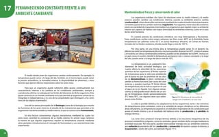 38 39
El medio donde viven los organismos cambia continuamente. Por ejemplo, la
temperatura puede variar a lo largo del día. También, en el mismo lapso puede variar
la presión atmosférica, la humedad relativa, la disponibilidad de alimentos y otros
factores que ejercen efectos importantes sobre los seres vivos.
Para que un organismo pueda sobrevivir debe ajustar continuamente sus
características internas a los cambios en las condiciones ambientales, siempre y
cuando estas últimas no sobrepasen los límites de tolerancia de dicho organismo. Este
ajuste continuo en un mundo cambiante es lo que permite al organismo conservar su
integridad e independencia, y es una de las propiedades que distinguen a los seres
vivos de los objetos inanimados.
Uno de los temas principales de la fisiología (rama de la biología que estudia
las funciones de los seres vivos) es el estudio de los mecanismos que permiten a los
organismosmantenerestablesumediointerno,loqueseconocecomohomeostasis.
En esta lectura conoceremos algunos mecanismos mediante los cuales los
seres vivos controlan la constancia de su medio interno. En primer lugar, veremos
la manera en que algunos organismos regulan su temperatura corporal; mediante
otros ejemplos, introduciremos el concepto de homeostasis y sus características más
importantes.
Manteniéndosefrescoyconservandoelcalor
Los organismos exhiben dos tipos de relaciones entre su medio interno y el medio
externo: pueden cambiar sus condiciones internas cuando su ambiente externo cambia
(conformidad),obiendesarrollarmecanismosmedianteloscualeselmediointernopermanece
constanteapesardeloscambiosexternos(regulación).Porsupuesto,entreestosdosextremos
existe una variedad de respuestas intermedias. Los organismos que regulan mejor su ambiente
interno son capaces de habitar una mayor diversidad de ambientes externos, como en el caso
de los seres humanos.
En nuestro planeta las condiciones climáticas son muy heterogéneas y fluctuantes.
Estas condiciones oscilan entre rangos extremos tan fríos como -80°C en la Antártida, hasta
temperaturas tan calientes como 55° C en zonas desérticas africanas, sin contar las fuentes
termales de los fondos oceánicos, donde puede llegar a más de 100 °C.
Por otra parte, en una misma área la temperatura puede variar. En el desierto las
diferencias entre las temperaturas diurna y nocturna pueden alcanzar los 40°C y entre el verano
y el invierno, en climas continentales extremos, pueden ser de alrededor de los 60ºC. Incluso en
un país como el nuestro, donde la temperatura permanece más o menos constante a lo largo
del año, puede variar a lo largo del día en más de 10°C.
La vida es posible debido a las adaptaciones de los organismos, tanto a los extremos
de temperaturas antes señalados, como a la variedad de rangos climáticos en las diferentes
áreas del planeta. La temperatura corporal es un indicador importante de las condiciones que
posee el medio interno y es el resultado del balance entre la producción y la pérdida de
energía térmica.
Los seres vivos producen energía térmica debido a las reacciones bioquímicas de los
procesos metabólicos y algunos, como los animales, ganan también dicha energía mediante la
actividad muscular. Por otra parte, pueden intercambiar energía con sus ambientes externos
por radiación proveniente del Sol, conducción y convección de nuestro cuerpo al entorno, y
evaporación a través del sudor, por ejemplo (figura 17.1).
Figura 17.1 Mecanismos de intercambio de
energía entre el ambiente y los seres vivos.
La temperatura es un parámetro fun-
damental de toda actividad biológica, por
cuanto afecta la velocidad de las reacciones
químicas de los organismos. El límite superior
de temperatura para la vida está establecido
por el punto en que las proteínas de las célu-
las se desnaturalizan, es decir, comienzan a
perder su forma funcional, por causa del calor
externo, y quedan inactivas. El límite inferior
de temperatura para la vida es aquel en el cual
el agua ya no es líquida. Con algunas excep-
ciones, la vida puede existir dentro de un ran-
go de temperatura desde aproximadamente
0°C hasta 50°C, con algunos seres que sobre-
pasan estos límites.
Permaneciendo constante frente a un
ambiente cambiante
17
 