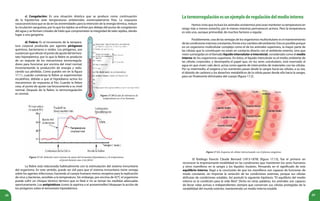 48 49
c) Congelación: Es una situación drástica que se produce como continuación
de la hipotermia ante temperaturas ambientales extremadamente frías. La respuesta
vasoconstrictora que se da en las extremidades para la retención de la energía térmica, reduce
la circulación sanguínea, por lo que los tejidos se enfrían por debajo del punto de congelación
del agua y se forman cristales de hielo que comprometen la integridad de tales tejidos, dando
lugar a una gangrena.
Figura 17.10 Escala de tolerancia de
temperaturas en el ser humano.
Figura 17.11. Relación entre el punto de ajuste del termostato hipotalámico y la temperatura
corporal durante una crisis febril.
La fiebre está relacionada habitualmente con la estimulación del sistema inmunitario
del organismo. En este sentido, puede ser útil para que el sistema inmunitario tome ventaja
sobre los agentes infecciosos, haciendo al cuerpo humano menos receptivo para la replicación
de virus y bacterias, sensibles a la temperatura. Sin embargo, por encima de 42°C el organismo
puede sufrir un choque térmico térmico que es fatal si no se toman las medidas adecuadas
oportunamente. Los antipiréticos (como la aspirina o el acetaminofén) bloquean la acción de
los pirógenos sobre el termostato hipotalámico.
Latermorregulaciónesunejemploderegulacióndelmediointerno
Hemos visto que incluso los animales ectotermos procuran mantener su temperatura en
rango más o menos estrecho, por lo menos mientras permanecen activos. Pero la temperatura
es solo uno, aunque primordial, de muchos factores a regular.
Posiblemente, una de las ventajas de los organismos multicelulares es el mantenimiento
delascondicionesinternasconstantes,frentealoscambiosdelambiente.Estoesposibleporque
en un organismo multicelular complejo como el de los animales superiores, la mayor parte de
las células que lo constituyen no están en contacto directo con el ambiente exterior, sino que
viven sumergidas en el llamado líquido intercelular o intersticial, considerado como el medio
interno de los organismos superiores. En éstos, el líquido intercelular es el medio ambiente de
las células corporales, y desempeña el papel que, en los seres unicelulares, está reservado al
agua en que viven; vale decir, actúa como agente de intercambio de materiales con las células.
Por su intermedio, el oxígeno y los nutrientes pasan desde la sangre hacia las células; a su vez,
el dióxido de carbono y los desechos metabólicos de la célula pasan desde ella hacia la sangre,
para ser finalmente eliminados del cuerpo (figura 17.2).
Figura 17.12. Esquema de células interactuando con el plasma sanguíneo.
El fisiólogo francés Claude Bernard (1813-1878) (figura 17.13), fue el primero en
reconocer la impresionante estabilidad en las condiciones que mantienen los seres humanos
y otros mamíferos en la sangre y los líquidos tisulares. Pensando en el significado de este
equilibrio interno, llegó a la conclusión de que los mamíferos son capaces de funcionar de
modo constante, sin importar la variación de las condiciones externas, porque sus células
disfrutan de condiciones estables. Así postuló la siguiente hipótesis: “El equilibrio del medio
interno es la condición para la vida libre”. Dicho en otras palabras, los animales son capaces
de llevar vidas activas e independientes siempre que conserven sus células protegidas de la
variabilidad del mundo exterior, manteniendo un medio interno estable.
d) Fiebre: Es el incremento de la tempera-
tura corporal producida por agentes pirógenos
químicos, bacterianos o virales. Los pirógenos, son
sustancias que elevan el punto de ajuste del termos-
tato hipotalámico, por lo que la fiebre es producto
de un reajuste de los mecanismos termorregula-
dores para funcionar por encima del nivel normal,
incrementando la producción de energía y redu-
ciendo sus pérdidas. Como puedes ver en la figura
17.11, cuando comienza la fiebre se experimentan
escalofríos, debido a que el hipotálamo activa los
mecanismos de respuesta al frío. Cuando la fiebre
cesa, el punto de ajuste cae bruscamente a su nivel
normal. Después de la fiebre, la termorregulación
es normal.
 