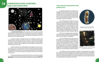 56 57
El proceso de homeostasis ocurre en todos los seres vivos, desde una ameba
como organismo unicelular simple hasta una ballena azul como uno de los organismos
pluricelulares más complejos que existen. Los principios, las estructuras y las respuestas
básicas, así como los estímulos que motivan tal actividad de autorregulación, son relati-
vamente comunes en todas las especies.
En base a lo anterior se puede decir que esta similitud de respuestas está
justificada porque todos los organismos convivimos en un ambiente común (al decir
ambiente común nos referimos a la Tierra, sin tomar en cuenta las particularidades
a las cuales se enfrentan todas las especies) e interconectado, ya que cada especie
depende de su medio externo para sobrevivir y de un plan genético, que define cómo
se desarrolla y funciona la vida.
Cuando analizamos esta interdependencia de las especies con otros seres vi-
vos (lo biótico) y con la dinámica de las condiciones ambientales (lo abiótico), pudié-
ramos preguntarnos ¿es el planeta Tierra un ser vivo?, ¿cómo pudiéramos explicar la
funcionalidad de este sistema?, ¿cómo es la homeostasis planetaria?, ¿cuál es papel de
la materia viva y no viva en este organismo al que algunos llaman Gaia?, ¿qué eviden-
cia hay de esto?
En esta lectura abordaremos esta particular forma de ver al mundo como un sistema
vivo y el trabajo de los diversos científicos que han opinado sobre esta visión de Gaia o de la
Madre Tierra, así como otros temas de interés relacionados con la homeostasis planetaria.
¿Cómoevolucionóelpensamientosobre
laMadreTierra?
Figura 18.1. La Pachamama es la Madre
Tierra de los antiguos y sabios pueblos Incas.
Los grandes pensadores de la historia han vi-
sualizado al planeta de distintas formas, desde la visión
mitológica en culturas arcaicas, hasta la más holística
en pleno siglo XXI. La Tierra fue llamada por los griegos
Gaia, para los Incas precolombinos es Pachamama (fi-
gura 18.1) y para losYorubas africanos eraYemayá, todas
son mujeres encargadas de otorgar la vida y a la vez
representan la vida misma del planeta.
Otra visión histórica de la Tierra como un siste-
ma vivo la tuvo el filósofo Tales de Mileto en el siglo VI
antes de Cristo, quien pensaba que algunos elementos
inanimados podían tomar vida, doctrina denominada
como hilozoísmo. Por el mismo período, se encon-
traban otros filósofos, entre ellos Anaxímenes, quien
planteaba que el aire funcionaba a modo de respira-
ción del mundo, y Anaxágoras quien sostenía que una
mente omnipotente controlaba toda la materia, ani-
mada e inanimada, aún cuando no estaba en toda ella.
Además de los pensadores antes mencionados,
tambiénseencuentranlosfilósofosHipócratesyPitágoras
que de modo general promovían el pensamiento de que
la Tierra es un ser íntegro, vivo e inteligente.
Hace unos doscientos años el científico James
Hutton (figura 18.2), padre de la Geología, afirmó que
la Tierra era un super-organismo y por tal motivo era
un ser que debía ser estudiado mediante la fisiología.
El aporte más significativo de Hutton fue su escrito
sobre la Tierra en 1789, sobre el reciclaje continuo
de la materia orgánica; sin embargo, sus trabajos no
fueron tomados en cuenta por las Ciencias Biológicas y
Geológicas, como consecuencia, no se pudo percibir al
planeta y a la vida desarrollada en él de forma holística.
Figura 18.2. James Hutton, el padre de la Geología
y visionario de la Teoría de Gaia.
Los científicos de la época no lograron entender este planteamiento tan complejo
pues su visión del planeta era limitada, fue en el siglo XX con el desarrollo de la exploración
lunar, cuando el ser humano sobrepasó la frontera de la atmósfera terrestre, y pudo obser-
var a la Tierra desde el espacio (figura 18.3). En ese momento, es cuando se abre una nueva
brecha en el pensamiento científico, que vislumbra al planeta como ser complejo y digno de
ser estudiado desde una perspectiva innovadora.
La homeostasis a nivel planetario…
¿Gaia es un planeta vivo?
18
 
