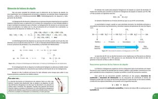 76 77
(a)
(b)
Figura 19.6. a) Producto de hidrohalogenación Markovnikov; b) Producto de hidrohalogenación anti-Markovnikov.
Obtencióndehalurosdealquilo
Hay una gran variedad de métodos para la obtención de los haluros de alquilo, los
más importantes son la halogenación de alcanos y alquenos vía radicales libres; halogenación
bencílica y alílica con N-bromosuccinimida (NBS); hidrohalogenación de alquenos y halo-
genación de alcoholes.
La halogenación de alcanos y alquenos es un proceso de gran importancia en la química
orgánica industrial, pero su aplicación en la síntesis de compuestos es muy limitada debido a
la gran cantidad de productos que se forman. La halogenación de alcanos es un proceso que
ocurre vía radicales y se realiza con Cl2
o Br2
en presencia de un iniciador (luz o peróxido). La
halogenación de alquenos se realiza con Cl2
, Br2
o I2
.
La hidrohalogenación de alquenos es una reacción sencilla y puede ocurrir por dos vías
distintas; una es la adición iónica de HX (X = Cl, Br o I) llamada adición Markovnikov y la segunda
se da en presencia de peróxidos o luz ultravioleta y es llamada anti-Markovnikov.
En la halogenación de un alqueno, la molécula de halógeno se adiciona al doble enlace
carbono-carbono mediante un mecanismo que implica la formación de un ión halogenonio.
Basado en ello, la adición de bromo ha sido utilizada como ensayo para saber si una
muestra presenta sustancias con dobles enlaces.
Para saber más…
La solución de bromo en tetracloruro de carbono tiene un color rojo
intenso. Cuando esta disolución roja se añade a un alqueno, el color
rojo del bromo desaparece (se dice que “se decolora”) y la solución se
vuelve clara e incolora. Por ejemplo, cuando una solución de bromo
(marrón-rojizo) se añade al ciclohexeno, el color del bromo desaparece
rápidamente,debidoaqueelbromoseadicionaaldobleenlace.Cuando
el bromo se añade al ciclohexano (a la derecha), el color persiste.
El método más usado para preparar halogenuros de alquilo es a partir de alcoholes. El
modo más sencillo para convertir un alcohol en halogenuro de alquilo es tratarlo con HCl, HBr
o HI de acuerdo a la siguiente reacción:
ROH + HX RX +H2
O
En donde el disolvente es el mismo alcohol ya que se usa el HX concentrado.
La reactividad es mayor cuando se usan alcoholes terciarios, los alcoholes primarios y
secundarios reaccionan muy lentamente y necesitan mayores temperaturas de reacción (figura
19.7).
Figura 19.7. Reactividad de alcoholes en la halogenación con HCl o HBr.
La reacción de HX con un alcohol terciario es tan rápida que con frecuencia se efectúa
sólo con hacer burbujear HCl o HBr gaseoso en una disolución fría del alcohol en éter. En
general, la reacción se lleva a cabo en minutos.
Reacciones químicas de los haluros de alquilo
Los haluros o halogenuros orgánicos son los compuestos que se encuentran con mayor
frecuencia como material de partida para las síntesis, debido a que pueden convertirse en una
gran variedad de otros compuestos y resultan accesibles a través de numerosos caminos.
Gran parte de sus reacciones pueden clasificarse en dos grupos: reacciones de
sustitución y reacciones de eliminación. En las reacciones de sustitución el átomo de
halógeno puede salir con el par de electrones del enlace R-X para formar un ión haluro estable,
a través de una ruptura heterolítica, de acuerdo con la siguiente reacción:
Z -
+ R-X R-Z + X-
En una reacción de sustitución nucleofílica, el átomo de haluro (X) se sustituye por un
nucleófilo (Z).
 