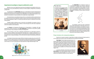 80 81
Importanciatecnológicaeimpactoambientalysocial
Muchos son los usos y aplicaciones que tienen los halogenuros de alquilo, entre los cua-
les se destaca su uso como disolventes, reactivos en síntesis orgánica, refrigerantes, anestésicos
y plaguicidas.
Su importancia como disolventes radica en su capacidad de ser buenos disolventes de
grasas e hidrocarburos con baja capacidad de inflamación, de allí que fueron reemplazando a
disolventes como la bencina o el hexano (muy inflamables) en la industria del lavado en seco,
donde el tricloroetileno o el percloroetileno son usados por su baja toxicidad.
Otrosdisolventescomoeldiclorometano(CH2
Cl2
),elcloroformo(CHCl3
)yeltetracloruro
de carbono (CCl4
) son muy empleados cuando se hacen extracciones desde medios acuosos,
por su baja solubilidad en agua y su elevada densidad que ayuda a la separación de las fases
(más pesadas).
También pueden emplearse para la extracción de metabolitos secundarios como en
el proceso de descafeinado del café: la cafeína se extrae del grano de café entero empleando
cloruro de metileno como disolvente.
Inhalador de cloroformo diseñado
por Dubois
Figura 19.8. Freón 22. Estructura y presentación comercial.
Los freones son haloalcanos fluorados que se desarrollaron a mediados del siglo
pasado para sustituir al amoniaco como gas refrigerante. El amoniaco es muy tóxico y puede
causar la muerte si hay una fuga en el sistema de refrigeración.
Pero los freones y otros CFCs se difunden gradualmente en la aftmósfera, donde los
átomos de cloro catalizan la descomposición del ozono (O3
) a oxígeno molecular (O2
). La
disminución del ozono inducida por freones es principalmente la responsable del“agujero”de
la capa de ozono, capa que protege a la Tierra del exceso de radiación ultravioleta proveniente
del Sol.
Los tratados internacionales, desde 1989, han limitado la producción y el uso de los CFC
destructores de la capa de ozono, por hidrocarburos de bajo punto de ebullición. Es así como
el freón 12® ha sido reemplazado por compuestos denominados hidrofluorocarbonos (HCFC)
como el freón 22® que se caracterizan por descomponerse a bajas latitudes (figura 19.8).
Los plaguicidas son sustancias cuyo fin es
la eliminación de plagas que producen epidemias
o consumen los productos de los campos de cultivo.
Dentro de la clasificación de plaguicidas se encuen-
tran los halogenados, siendo uno de los primeros
sintetizados y utilizados el dicloro difenil tricloroeta-
no (DDT).
Para saber más…
El cloroformo fue la primera sustan-
cia usada como anestésico general.
Lo que abrió nuevas posibilidades
para la cirugía de un paciente in-
consciente y relajado. Debido a que
es tóxico y cancerígeno se sustituyó
por anestésicos más seguros. Por
ejemplo el derivado halogenado
CF3
CHClBr, al que se conoce con el
nombre de“halotano”.
Sin embargo, muchos de estos compuestos
como el DDT tienen efectos colaterales; éste es un in-
secticida de larga duración y sus residuos se acumu-
lan y persisten en el ambiente durante largo tiempo.
Por lo que el uso indiscriminado del DDT trajo como
consecuencia que se acumulara en grandes cantida-
des en tierras de cultivo y en aguas, causando la dis-
minución de varias especies animales.
El gas mostaza, otro compuesto peligroso
Pasó de ser un genio y ayudar a la agricultura mundial a principios del siglo pasado, a
ser el creador de una de las armas más letales que ha conocido la humanidad.
Fritz Haber, Premio Nobel de Química por su in-
geniosa idea para crear amoniaco de forma artificial y de
esta manera cambiar para siempre la industria de los fer-
tilizantes y la agricultura mundial, fue uno de los hombres
más polémicos que ha existido. Debido a que también
fue el precursor de la guerra química al crear y usar el gas
mostaza contra los aliados en la Primera Guerra Mundial
(figura 19.9).
La mostaza sulfurada, comúnmente conocida cómo
gas mostaza, es una clase de agente citotóxico usado du-
rante la Primera Guerra Mundial (1914-1918), con la capaci-
dad de formar grandes ampollas en la piel expuesta.
Figura 19.9. Fritz Haber (1868-1934).
 