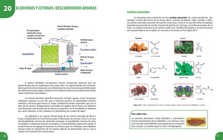 86 87
A nuestro alrededor encontramos muchos compuestos químicos que son
aprovechados por los organismos vivos para cubrir sus requerimientos de nutrientes.
Buenapartedeestoscompuestossonutilizadosporlossereshumanosparalafabricación
de materia prima que luego convierten en la industria química en productos de interés
social, ambiental y tecnológico.
Los aromas permiten identificar personas, comidas, lugares, evocar recuerdos,
ambientar espacios, es por ello que la industria química ha desarrollado diversos
métodos y técnicas para extraer la mayor cantidad de aceites esenciales, que son la
base de los aromas. Antiguamente maceraban los pétalos de las flores y así obtenían
una disolución concentrada de un aroma en específico, en la actualidad se obtienen
por varios métodos, el más utilizado es la destilación por arrastre de vapor.
Los aldehídos y las cetonas forman parte de los aromas naturales de flores y
frutas, empleándose en la perfumería para la fabricación de aromas, como es el caso
del benzaldehído (esencia de almendras amargas), el anisaldehído (esencia de anís),
la vainillina, el piperonal (esencia de sasafrás), el cinamaldehído (esencia de canela). A
los perfumes se les agrega la muscona y la civetona que son utilizadas como fijadores
porque evitan la evaporación de los aromas además de potenciarlos, por lo cual se
utilizan en la industria de la perfumería.
Aceitesesenciales
La naturaleza está provista de muchos aceites esenciales, los cuales percibimos , por
ejemplo, a través del aroma de los frutos, flores, cortezas de árboles, hojas, semillas y tallos.
Los aceites esenciales proceden de fuentes como éstas. Como es el caso del aceite de espliego
(lavanda) que procede de una flor, el aceite de pachulí, de una hoja, y el aceite de naranja, de un
fruto. Los aceites se forman en las partes verdes (con clorofila) del vegetal y al crecer la planta
son transportados a otros tejidos, en concreto a los brotes en flor (figura 20.1).
Figura 20.1. Partes vegetales de las cuales se extraen algunos aceites esenciales de aldehídos y cetonas.
Para saber más…
La industria alimentaria utiliza delicados y maravillosos
aromas provenientes de los aldehídos y las cetonas, como
es el caso del cinamaldehido, que proporciona un exquisito
olor a canela, su nombre Iupac es trans-3-fenilpropenal.
β
Aldehídos y cetonas: descubriendo aromas
20
 