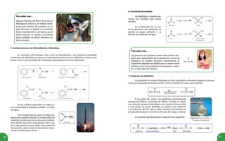 96 97
5. Condensaciones con hidroxilamina e hidrazinas
Los derivados del amoníaco tales como la hidroxilamina y las hidracinas sustituidas
condensan con aldehídos y cetonas. La hidroxilamina reacciona con aldehídos y cetonas para
formar oximas y los derivados de la hidracina reaccionan para formar hidrazonas.
En los cohetes espaciales se utiliza co-
mo combustible la hidrazina anhidra , es decir,
sin agua.
En la mayoría de los casos, se utiliza oxí-
geno cómo agente oxidante. El combustible y el
oxidante se pulverizan en la cámara de combus-
tión, donde reaccionan para generar calor y ga-
ses a alta presión, lo que obliga a los productos
de reacción a salir a través de las toberas impul-
sando el cohete hacia arriba.
6. Formación de acetales
En la formación de un ace-
tal se adicionan dos moléculas de
alcohol al grupo carbonilo y se
elimina una molécula de agua.
Para saber más…
Las personas con diabetes suelen tener aliento afru-
tado, olor característico de la propanona. Como los
diabéticos no pueden consumir carbohidratos, el
organismo adquiere un estado que se conoce como
acetosis, en el cual se produce la propanona –aceto-
na– y otros tipos de cetonas.
Figura 10. Espejo de plata en
un balón de destilación.
7. Oxidación de aldehídos
Los aldehídos se oxidan fácilmente a ácidos carboxílicos utilizando oxidantes comunes
como permanganato de potasio, ácido crómico, trióxido de cromo y peroxiácidos.
El ión plata Ag+
oxida a los aldehídos selectivamente
(prueba de Tollens). La prueba de Tollens consiste en añadir
una solución amoniacal de plata a una muestra desconocida,
si ésta posee un grupo aldehído se produce una oxidación
y la reducción del ión plata a plata metálica, formándose un
precipitado de plata en el interior del tubo de ensayo o matraz.
La ecuación que demuestra la reacción es la siguiente:
Los aldehídos y cetonas reac-
cionan con alcoholes para formar
acetales.
Para saber más…
Algunas especies de lémur de la isla de
Madagascar utilizan a un milpiés (miriá-
podo) para librarse de parásitos en su
pelo. Muerden al milpiés y el animalito
libera mandelonitrilo, una toxina, que el
lémur frota por su cuerpo. La sustancia
ejerce también un efecto narcótico so-
bre el primate.
 