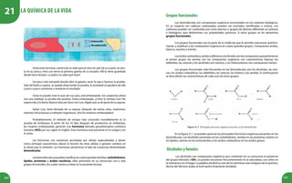 102 103
La
química
de
la
vida
Sonia está nerviosa, camina de un lado para el otro sin salir de su cuarto, se sien-
ta en la cama y mira con terror la primera gaveta de su tocador. Allí la tiene guardada
desde hace tiempo. La pobre no sabe qué hacer.
Un poco más tranquila decide abrir la gaveta, sacar la caja y hacerse la prueba.
Sale del baño y espera, se queda observando la prueba, la ansiedad se apodera de ella
y poco a poco comienza a revelarse el resultado.
Sonia no puede creer lo que ven sus ojos, está embarazada. Sus sospechas ahora
son una realidad. La prueba dio positiva. Estoy embarazada. ¿Cómo lo tomará Luis? No
espera más y lo llama. Buenos días por favor con Luis, dígale que es de parte de su esposa.
Señor Luis, tiene llamada de su esposa. Después de tantos años, exámenes,
intentos infructuosos y métodos ingeniosos. ¡Por fin estamos embarazados!
Probablemente, el método de ensayo más conocido mundialmente es la
prueba de embarazo. A partir de los 10 días después de producirse un embarazo,
las mujeres embarazadas generan una hormona llamada gonadotropina coriónica
humana (HCG por sus siglas en inglés). Esta hormona está presente en la sangre y en
la orina.
Las hormonas son sustancias secretadas por células especializadas y tienen
cómo principal característica alterar la función de otras células o generar cambios en
la célula que la sintetizó. Las hormonas pertenecen al tipo de sustancias denominadas
biomoléculas.
Lasbiomoléculassepuedenclasificarencuatrograndesfamilias:carbohidratos,
lípidos, proteínas y ácidos nucleicos; ellas presentan en su estructura uno o más
grupos funcionales, los cuales vamos a tratar en la presente lectura.
Gruposfuncionales
Las biomoléculas son compuestos orgánicos encontrados en los sistemas biológicos.
En su mayoría son cadenas carbonadas, pueden ser normales, ramificadas o cíclicas. Los
carbonos pueden ser sustituidos por otros átomos o grupos de átomos diferentes al carbono
e hidrógeno, que determinan sus propiedades químicas. A estos grupos se les denomina
grupos funcionales.
Los grupos funcionales son la parte de la molécula que le permite reaccionar química-
mente, y clasifican a los compuestos orgánicos en cuatro grandes grupos. Compuestos ácidos,
básicos, neutros e inertes.
Losácidoscarboxílicos,ácidossulfónicosylosfenolessonloscompuestosquepertenecen
al primer grupo; las aminas son los compuestos orgánicos con características básicas; los
aldehídos, las cetonas y los alcoholes son neutros, y los hidrocarburos son compuestos inertes.
Los grupos funcionales más frecuentes en las biomoléculas son los alcoholes, las ami-
nas, los ácidos carboxílicos, los aldehídos, las cetonas, los ésteres y las amidas. A continuación
se describirán las características de cada uno de estos grupos.
Figura 21.1. Principales funciones orgánicas presentes en las biomoléculas.
En la figura 21.1 se pueden apreciar las principales funciones orgánicas presentes en las
biomoléculas. Los alcoholes presentes en los carbohidratos, amidas en las proteínas, ésteres en
los lípidos, aminas en los aminoácidos y los ácidos carboxílicos en los ácidos grasos.
Alcoholesyfenoles
Los alcoholes son compuestos orgánicos que contienen en su estructura la presencia
del grupo hidroxilo (-OH), se pueden encontrar frecuentemente en la naturaleza, son útiles en
la industria y en el hogar. La palabra alcohol es uno de los términos más antiguos de la química,
deriva del término árabe al-kuhl (polvo finamente dividido).
‘
‘
La química de la vida
21
 