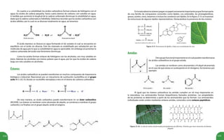 114 115
En cuanto a su solubilidad, los ácidos carboxílicos forman enlaces de hidrógeno con el
agua; los ácidos de cadena pequeña, hasta cuatro átomos de carbono, son solubles en agua.
A medida que aumenta la longitud de la cadena carbonada disminuye la solubilidad en agua,
dado que la cadena carbonada es hidrófoba. Debemos recordar que los ácidos carboxílicos son
ácidos débiles, por lo cual no se disocian totalmente en agua, así tenemos:
El ácido etanoico se disocia en agua formando el ión acetato el cual se encuentra en
equilibrio con el ácido sin disociar. Este ión etanoato es estabilizado por solvatación por las
moléculas de agua por lo que su solubilidad en agua es apreciable. Sin embargo al aumentar la
cadena carbonada del ácido este fenómeno disminuye.
Como los ácidos forman enlaces de hidrógeno con los alcoholes, son muy solubles en
éstos. Además los alcoholes son menos polares que el agua, por los que los ácidos de cadena
larga son más solubles en alcoholes.
Los ácidos carboxílicos se pueden transformar en muchos compuestos de importancia
biológica e industrial. Reaccionan por un mecanismo de sustitución nucleofílica en el grupo
acilo (R-C=O). En donde un nucleófilo reemplaza a otro en el átomo de carbono carboxílico:
De esta manera, un ácido carboxílico puede transformarse en un éster carboxílico
(RCOOR). Los ésteres se nombran como alcanoato de alquilo, se comienza a nombrar el grupo
carbonilo y se finaliza con el grupo alquilo unido al oxígeno.
Enlanaturalezalosésteresjueganunpapelsumamenteimportanteyaqueformanparte
de una familia de compuestos conocidos como lípidos. Los esteroides, las prostaglandinas,
grasas, aceites, ceras, terpenos e incluso los carotenos son lípidos. En la figura 21.9, se muestran
las estructuras de algunos lípidos representativos. Destacándose la presencia de dos ésteres.
Figura 21.9. Estructuras de lípidos y hoja con revestimiento de cera.
Otrogrupofuncionalimportanteenelcualpuedentransformarse
los ácidos carboxílicos es el grupo amida.
Las amidas se nombran como alcanamida o N-alquil-alcanamida
en el caso de que exista un sustituyente en el nitrógeno. Así tenemos por
ejemplo:
Al igual que los ésteres carboxílicos las amidas cumplen un rol muy importante en
la naturaleza. Los aminoácidos forman biopolímeros llamados proteínas. Las propiedades
de las proteínas se determinan a partir de los aminoácidos que las forman. Los aminoácidos
individuales están unidos mediantes enlaces amidas, conocidos como enlaces peptídicos.
Figura 21.10. La tela de araña está formada principalmente por fibroína. Proteína que tiene estructura de lámina
plegada.
Ésteres
Amidas
 