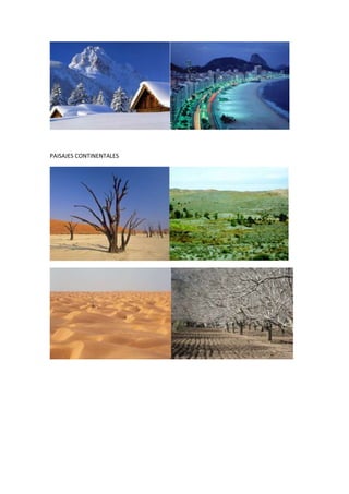 PAISAJES CONTINENTALES
 