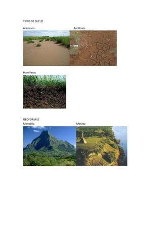 TIPOS DE SUELO
Arenosos Arcillosos
Humíferos
GEOFORMAS
Montaña Meseta
 