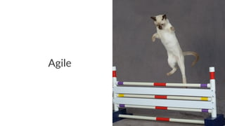 Agile 
 