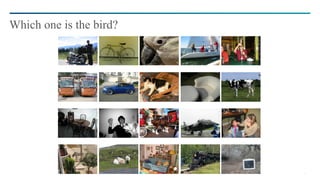 4
Which one is the bird?
 
