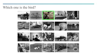 5
Which one is the bird?
 