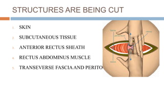 STRUCTURES ARE BEING CUT
1. SKIN
2. SUBCUTANEOUS TISSUE
3. ANTERIOR RECTUS SHEATH
4. RECTUS ABDOMINUS MUSCLE
5. TRANSEVERSE FASCIAAND PERITONEUM
 