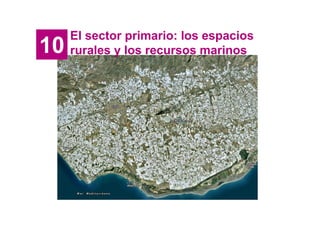 El sector primario: los espacios
10   rurales y los recursos marinos
 