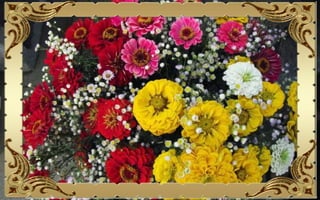 Csodás virágok(10)+ani (nx powerlite)x