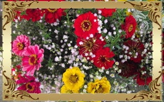 Csodás virágok(10)+ani (nx powerlite)x