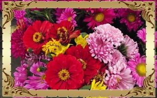 Csodás virágok(10)+ani (nx powerlite)x