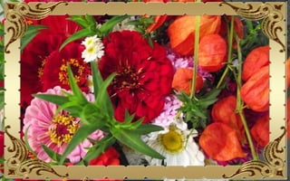 Csodás virágok(10)+ani (nx powerlite)x