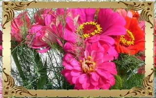 Csodás virágok(10)+ani (nx powerlite)x