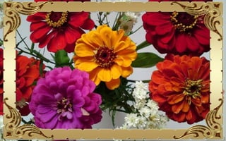 Csodás virágok(10)+ani (nx powerlite)x