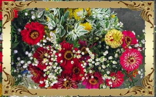 Csodás virágok(10)+ani (nx powerlite)x