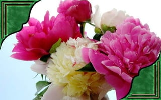 Csodás virágok(7)+ani (nx powerlite)