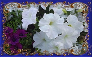 Csodás virágok(8)+ani (nx powerlite)x