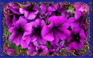 Csodás virágok(8)+ani (nx powerlite)x