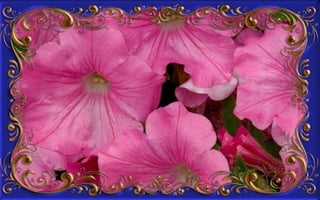 Csodás virágok(8)+ani (nx powerlite)x