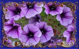 Csodás virágok(8)+ani (nx powerlite)x