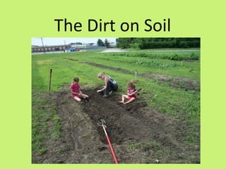 The Dirt on Soil
 
