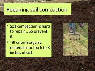 Repairing soil compaction

• Soil compaction is hard
  to repair …So prevent
  it.
• Till or turn organic
  material into top 6 to 8
  inches of soil
 