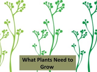 What Plants Need to
      Grow
 