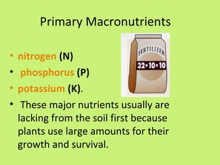 Primary Macronutrients

•   nitrogen (N)
•    phosphorus (P)
•   potassium (K).
•    These major nutrients usually are
    lacking from the soil first because
    plants use large amounts for their
    growth and survival.
 